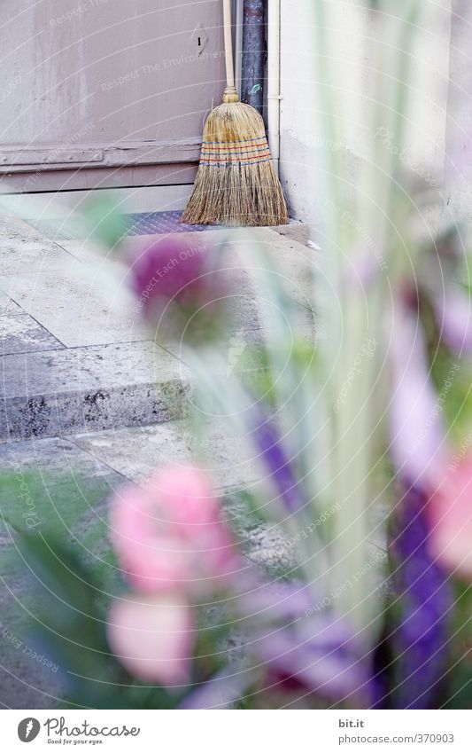 Blumen für die Hausfrau Häusliches Leben Arbeit & Erwerbstätigkeit Gartenarbeit Arbeitsplatz Dienstleistungsgewerbe Feierabend Verantwortung Trägheit bequem