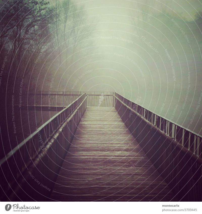 eine fußgängerbrücke im november führt ins nebelige nichts November verlassen Nebel kalt leer Stille menschenleer ländlich schlechte Sicht auf dem Weg