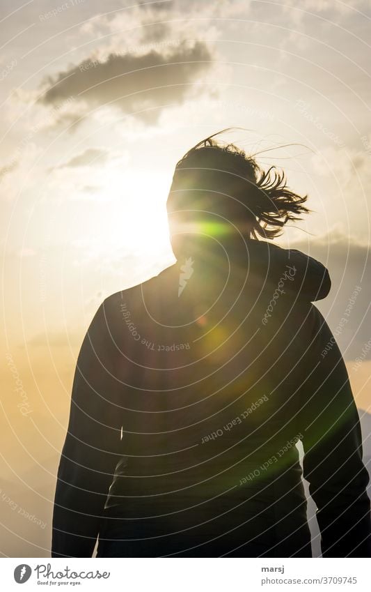 Rückblickend könnte man meinen, das war ein sonniges Jahr. Sonnenlicht Gegenlicht Sehnsucht Sonnenstrahlen Silhouette Kontrast Abend Gedeckte Farben Farbfoto