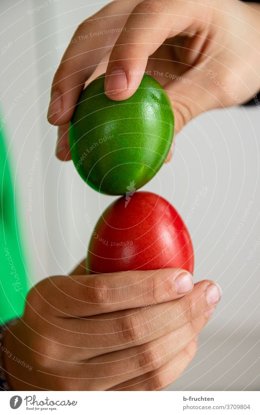 rotes und grünes Ei, Ostereier, Eierpecken, Brauchtum Ostern Frühling Dekoration & Verzierung Tradition Feste & Feiern halten Hand Kinder schlagen zusammen