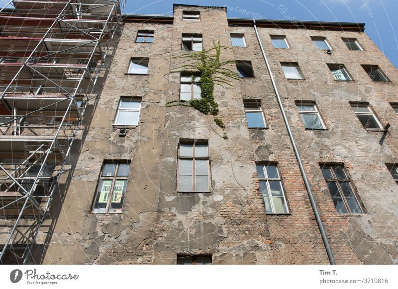 Hinterhof Berlin Prenzlauer Berg Stadt Stadtzentrum Hauptstadt Altstadt Außenaufnahme Menschenleer Haus Tag Altbau Fenster Bauwerk Gebäude Fassade Architektur