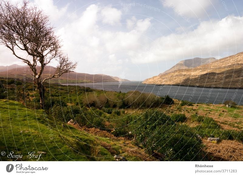 Schottisches Loch in den Highlands Schottland See Landschaft Berge u. Gebirge Natur Außenaufnahme Farbfoto Menschenleer Umwelt Wolken Tag Einsamkeit