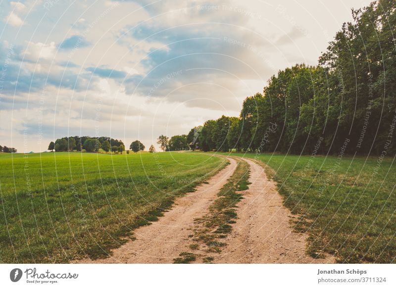 Feldweg in Abendstimmung am Waldrand Abendhimmel Abendsonne Himmel Weg abend draußen laufen waldrand wandern Natur Landschaft Außenaufnahme abendhimmel Wolken