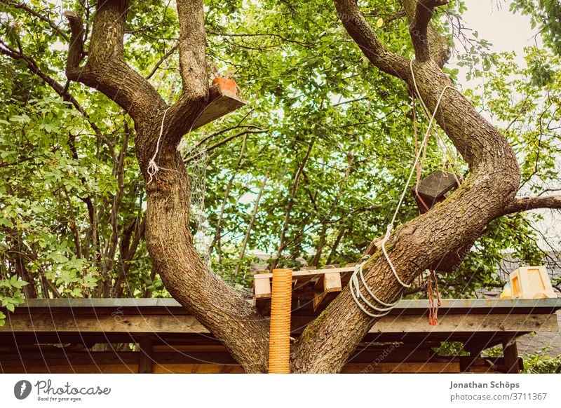 Baumhaus in Garten mit Rohr DIY Kindertraum Palette Pflanze Zuhause grün klettern outdoor selbstgebaut wald Natur Außenaufnahme Holz