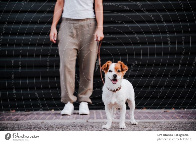 junge Frau im Freien mit Schutzmaske, daneben süßer Jack-Russell-Hund. Neues normales Konzept Straße neue Normale jack russell Haustier laufen urban Großstadt