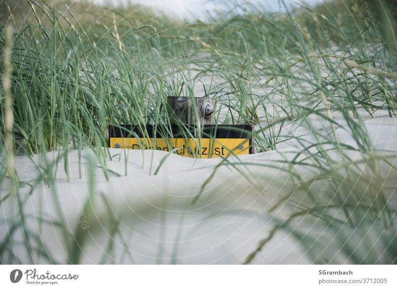 Hinweisschild fast verdeckt mit Deichsand Strand Stranddüne Sand Küste Düne Gras Ferien & Urlaub & Reisen Nordsee Dünengras Deichschutz Menschenleer