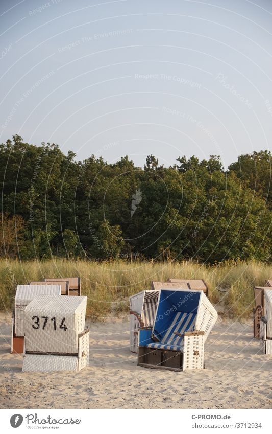 Wir treffen uns bei Strandkorb 3714 Sonnenbad Düne Stranddüne Himmel Wolkenloser Himmel