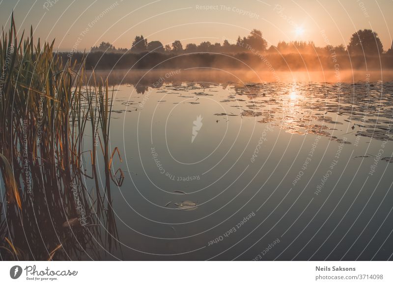 Nebliger Sonnenaufgang über ruhigem Fluss. Wasser Himmel Landschaft Natur Reflexion & Spiegelung Abend blau Morgendämmerung Abenddämmerung Windstille Bäume