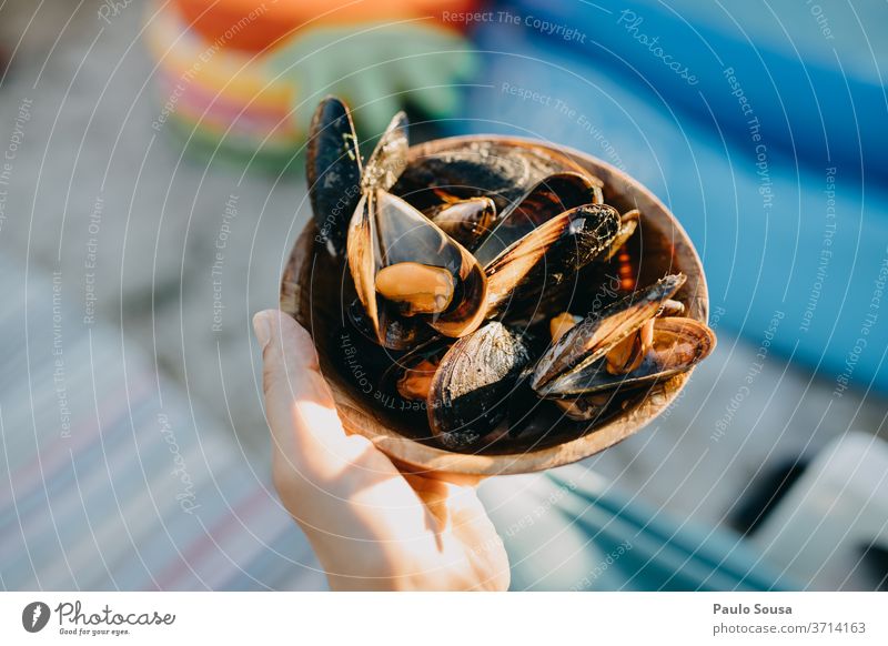 Nahaufnahme Schüssel mit Muscheln Miesmuschel Muschelschale Lebensmittel Schalen & Schüsseln Detailaufnahme Meer Schneckenhaus Außenaufnahme Farbfoto Tag Strand