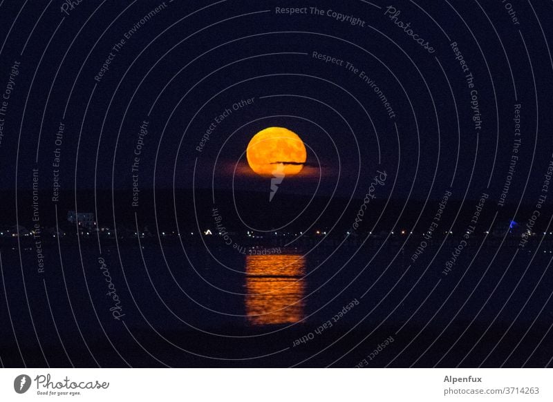 Bad Moon Rising Vollmond Nacht Himmel Mond vollmondschein Mondschein Licht Nachthimmel dunkel Lichterscheinung Außenaufnahme Menschenleer Werwolf Kontrast