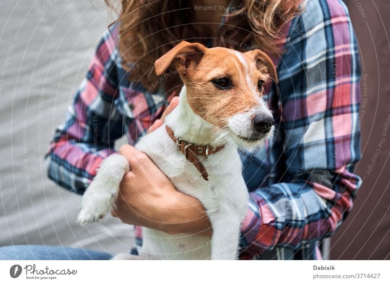 Frau mit Jack-Russell-Terrier-Welpen im Freien. Beziehungen und Tierpflegekonzept Hund Haustier Besitzer Glück niedlich Freundschaft Spielen Lifestyle Spaß Gras