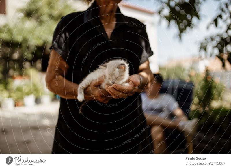 Oma mit Katzenbaby Großmutter Hauskatze Erwachsene Katzenauge Blick Tierporträt Farbfoto Katzenkopf Tiergesicht Auge Schnurrhaar Säugetier Haustier schön