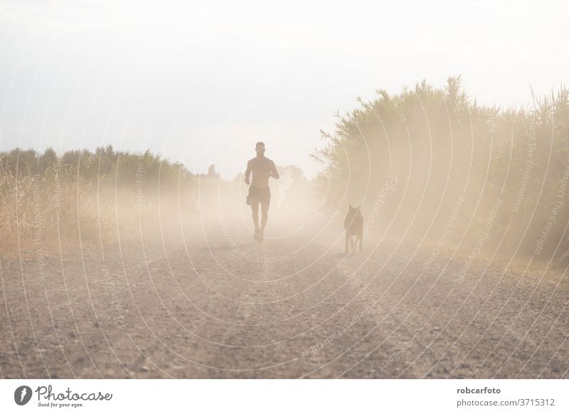 Mann, der mit seinem Hund trainiert Training Menschen Gras männlich Himmel Haustier Glück Spaß Sonnenuntergang im Freien Natur Wiese Männer Sommer Tier