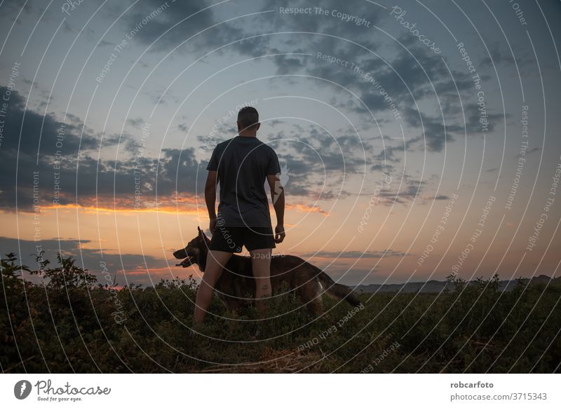 Mann, der mit seinem Hund trainiert Training Menschen Gras männlich Himmel Haustier Glück Spaß Sonnenuntergang im Freien Natur Wiese Männer Sommer Tier