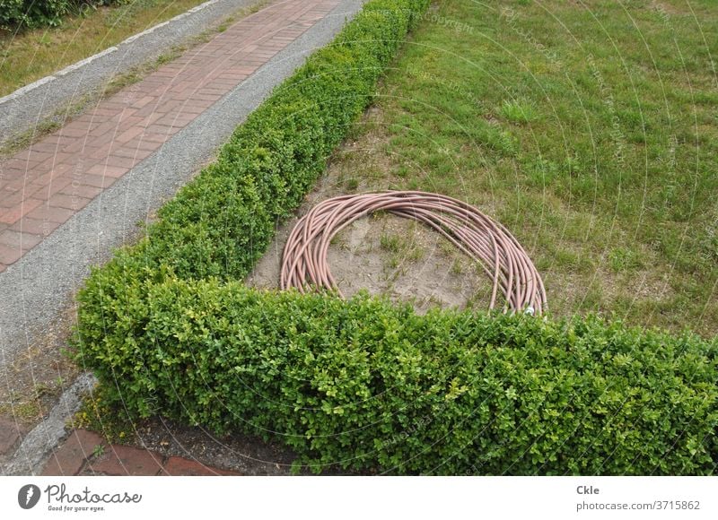 Schlauch in Heckenlandschaft mit Gehwegen Gartenschlauch Park Grün Gartenwege gießen Gartenarbeit Farbfoto Pflanze Wasserschlauch Fliesen Grünanlage Dürre