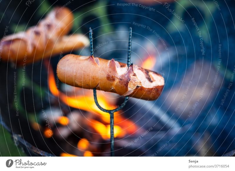 Fleischwurst auf einem Spieß über einem Feuerkorb. Nahaufnahme spieß Glut orange heiß Lagerfeuer feuerkorb gebraten Sommer Wärme Flamme brennen Feuerstelle