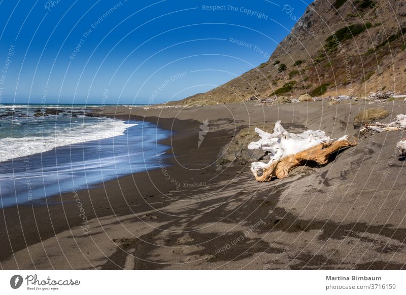 Der schwarze Sandstrand an der Westküste, Kalifornien USA Ferien Wellen Ruhe Strand Meer pazifik MEER Landschaft Küste Wasser Natur Gegend national nördlich