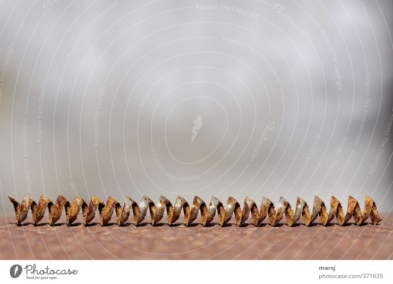 Baumaterial |Das ist übriggeblieben Stahl Rost Spirale Drehspan Späne alt drehen braun Farbfoto Gedeckte Farben Außenaufnahme Detailaufnahme Makroaufnahme