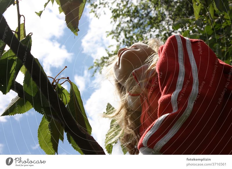 Kind schaut zwischen Äste in den Himmel Kirschbaum Sommerzeit Sommertag sommerlich Baum in den himmel schauen Ferien Glück glücklich Natur Mädchen Kindheit