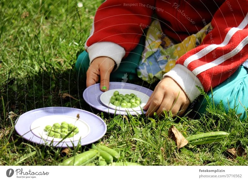 Kinderhände halten Teller  mit grünen frischen Erbsen Erbsenzähler Erbsenschoten Gesunde Ernährung Vegane Ernährung Gesundheit Foodfotografie Gemüse Bioprodukte