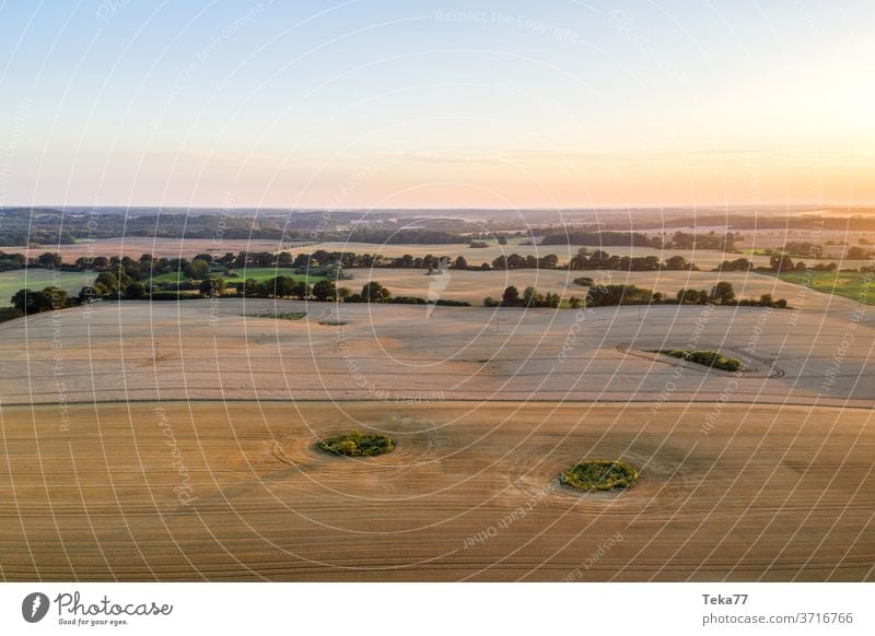 eine Bauernlandschaft von oben mit Abendlicht Feld Wiese Gartenarbeit Landwirtschaft Bauernhof Agrarlandschaft Felder von oben essen Natur grüne Landwirtschaft