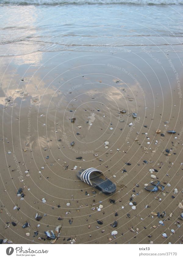 der verlorene Schuh Schuhe Muschel Strand Ferien & Urlaub & Reisen Meer nass Reflexion & Spiegelung Schwarzes Meer Europa Badeschuh Wasser Sand Küste bulgarine