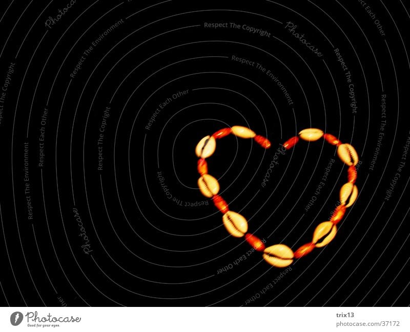 Herzkette schwarz Muschel Halskette Freundschaft Dinge Liebe Kontrast