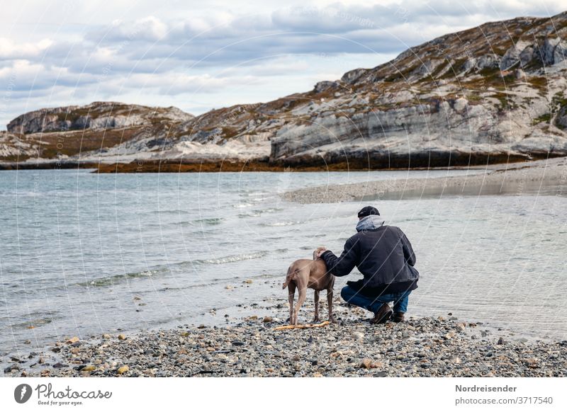 Mann und Weimaraner Jagdhund am Meer in Norwegen Rückansicht Ganzkörperaufnahme Porträt Tag Textfreiraum oben Außenaufnahme Farbfoto Finnmark Leben Felsküste