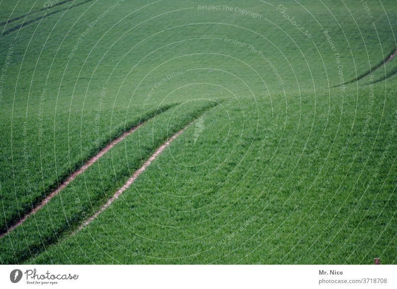 spuren im feld Furche Spuren Landwirtschaft Feld grün Ernte Traktorspur Kornfeld Wege & Pfade Ackerbau Wachstum Natur Nutzpflanze Umwelt Getreide Pflanze