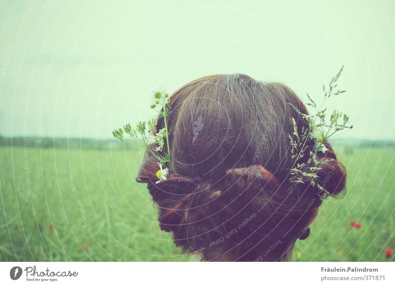 weitblick. feminin Junge Frau Jugendliche Erwachsene Kopf Haare & Frisuren 1 Mensch Natur Landschaft Himmel Frühling Sommer Wetter Wiese Feld Accessoire brünett