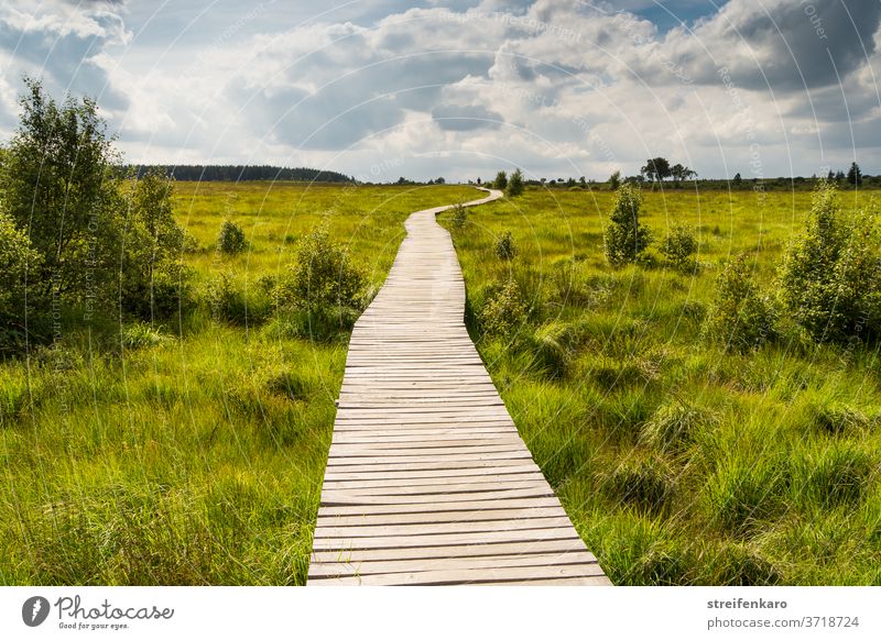 Am Horizont wollen wir uns treffen, sagte der Holzpfad zu den Wolken am Himmel, während er sich durch das grüne Gras im Moor schlängelte Hohes Venn Belgien