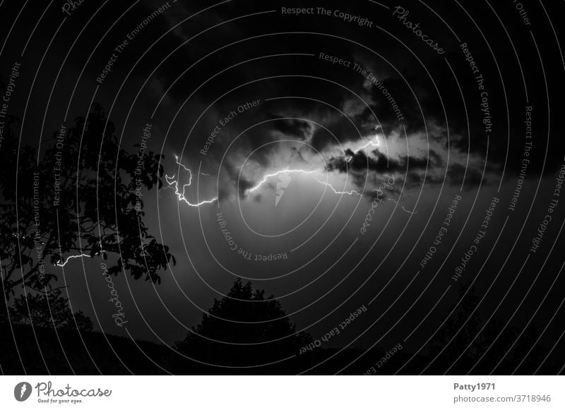 Blitz erhellt den Nachthimmel vor dunklen Gewitterwolken Blitzschlag Baum Silhouette Wolken Landschaft grell Himmel düster geheimnisvoll s/w Schwarzweißfoto