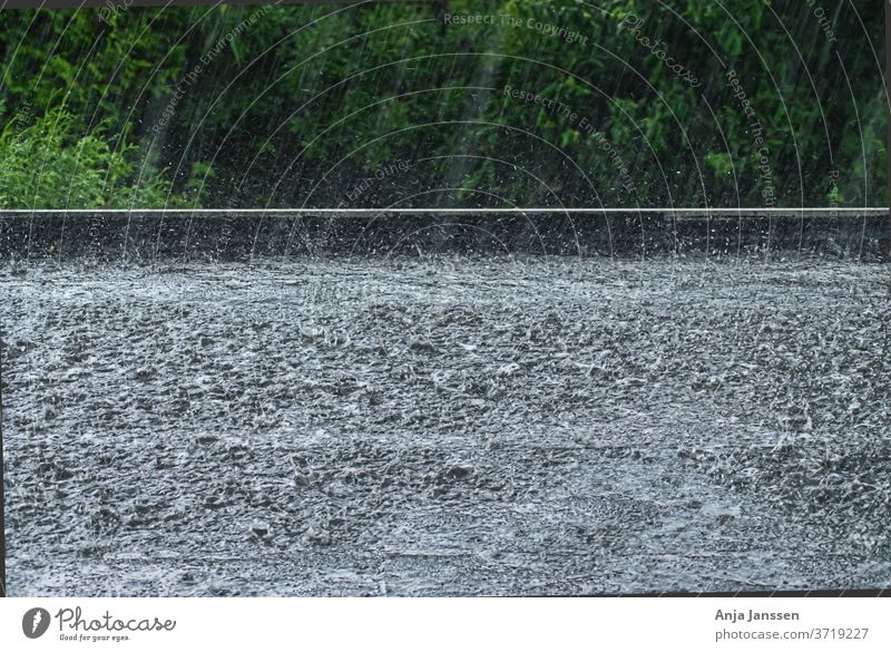 Starker Regen auf einem schwarzen Flachdach Starkregen Dach Wasser Regenschauer Pfütze Baum Bäume grün Hecke außerhalb im Freien