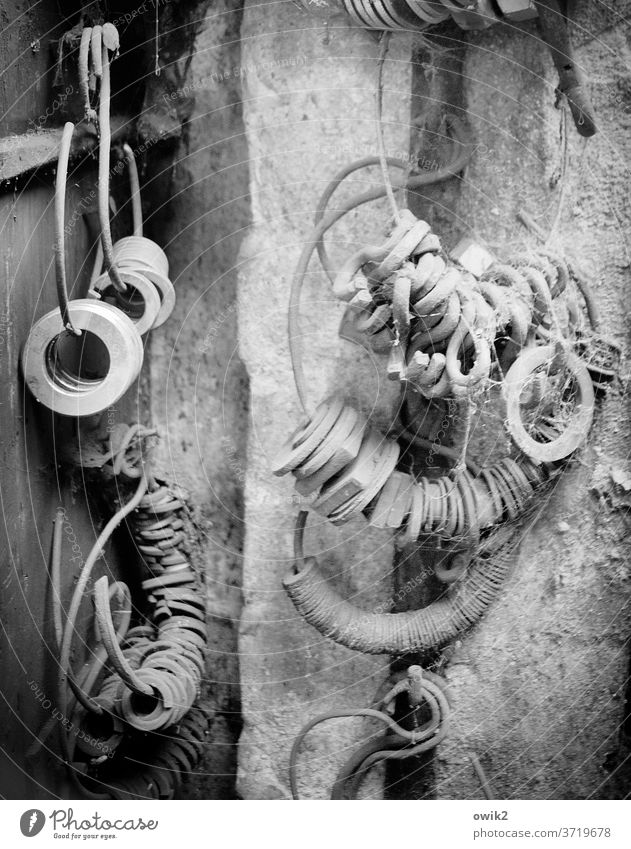 Hinterster Winkel Schlüsselringe Haken Unterlegscheiben Dinge Sammlung Wand Mauer Lager Lagerplatz Lagerschuppen Sammelsurium Vorrat Stein Metall hängen alt