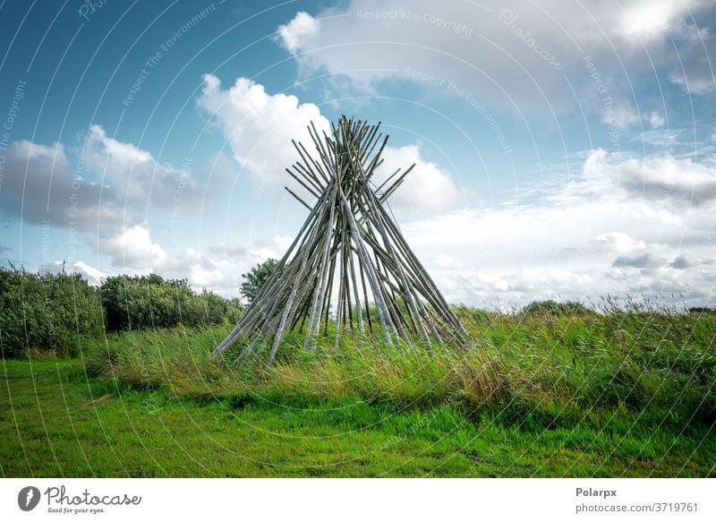 Hausgemachte Plane aus Holzästen outdoorsy Park Gras Immergrün heimatlos Hütte Landschaft Umwelt Fähigkeiten Frühling Pyramiden Lagerfeuer Saison Rinde