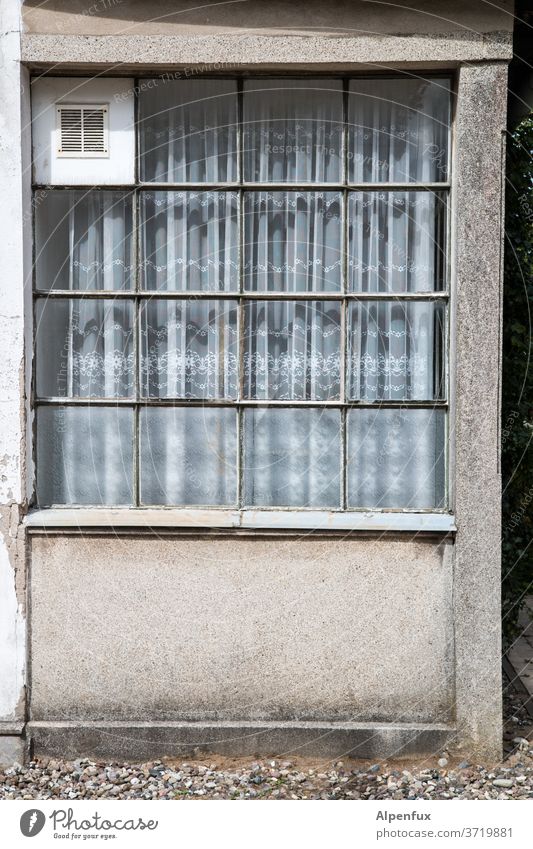 4X4 Fenster Fassade Haus Gebäude Außenaufnahme alt Wand Architektur Altstadt trist Häusliches Leben historisch Bauwerk Mauer Farbfoto Menschenleer Altbau Tag