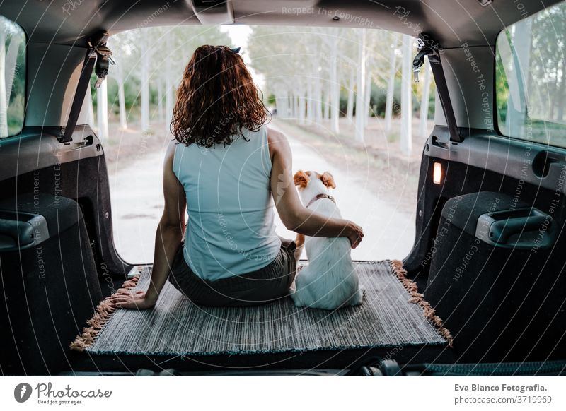 junge glückliche Frau mit ihrem Hund in einem Auto. Reisekonzept. Rückansicht PKW reisen jack russell Zusammensein Liebe im Freien Lifestyle Freundschaft Urlaub