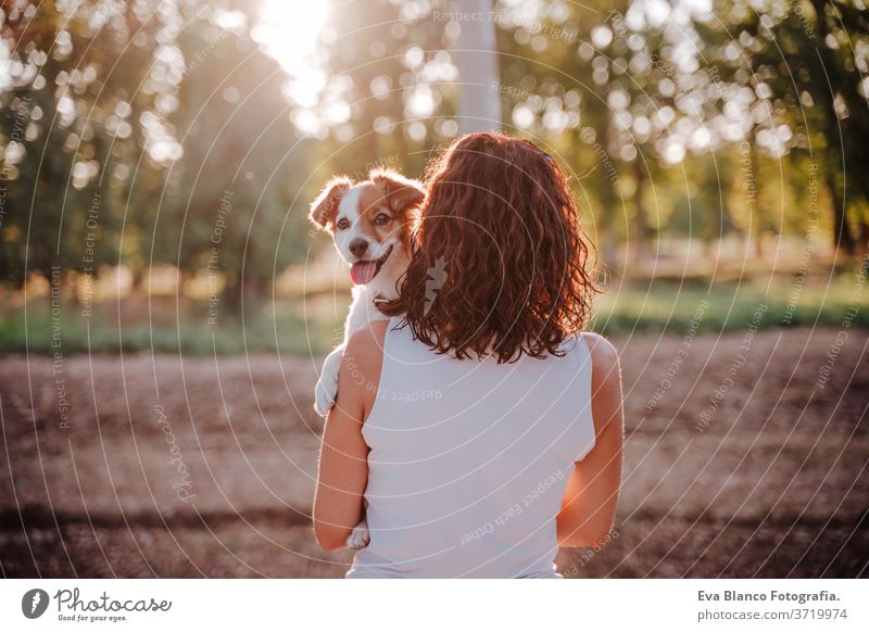 junge glückliche Frau in einem Auto, die ihren süßen Hund kuschelt. Reisekonzept Sonnenuntergang im Freien Liebe Zusammensein Park jack russell Lifestyle