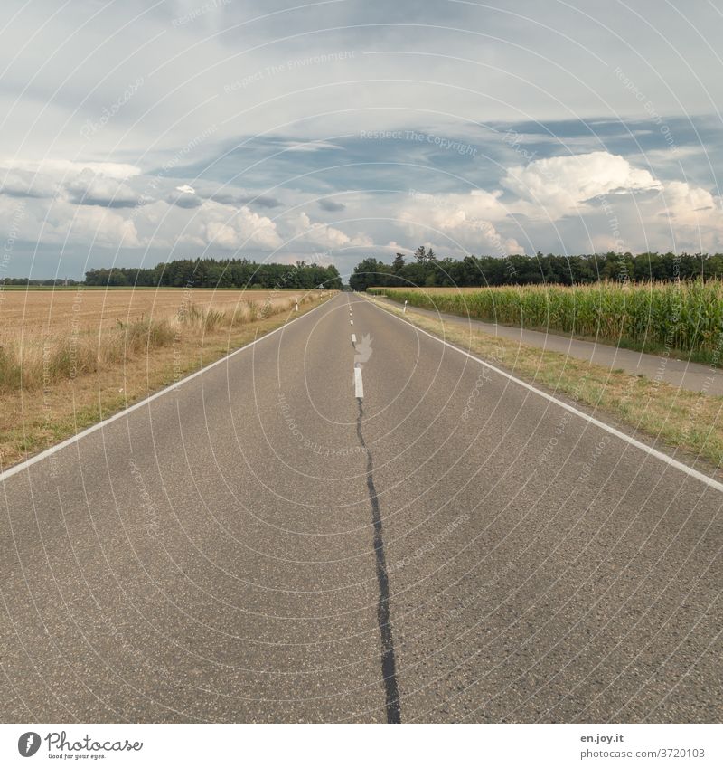 Geradeaus | Straße mit Feldern Maisfeld Horizont Himmel Mittelstreifen Wolken Weitwinkel Sommer Verkehr Verkehrswege Straßenbelag geradeaus Asphalt Ferne