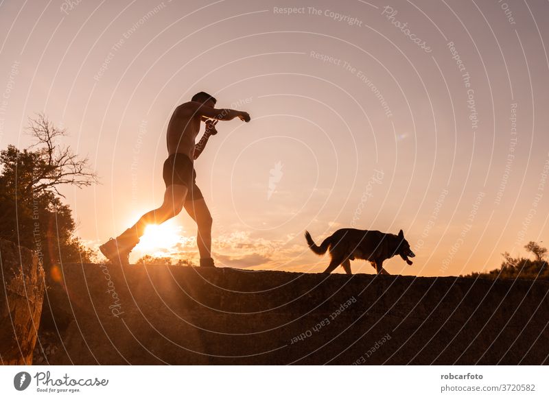 Mann, der mit seinem Hund trainiert Training Menschen Gras männlich Himmel Haustier Glück Spaß Sonnenuntergang im Freien Natur Wiese Männer Sommer Tier