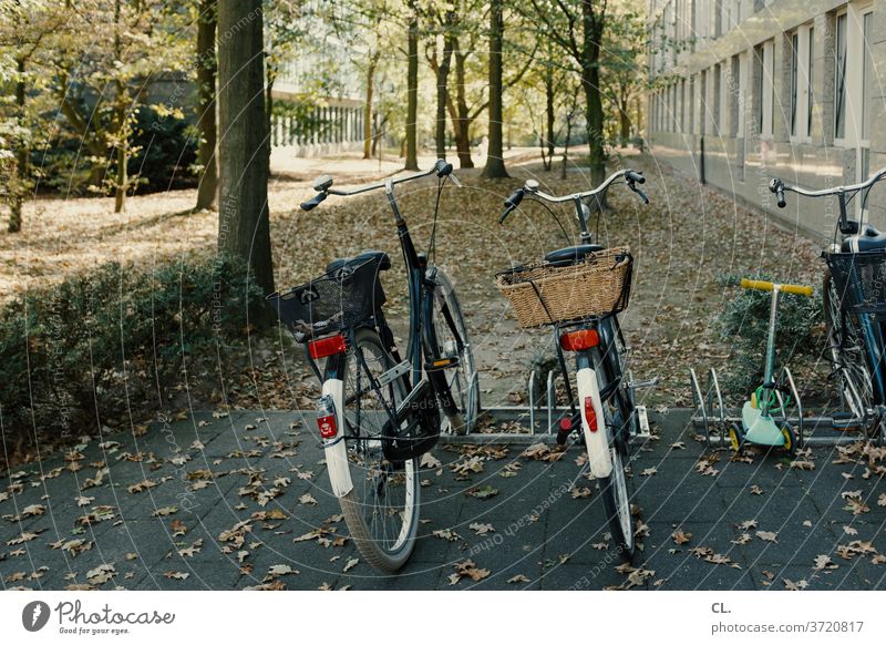 fahrräder und ein tretroller Fahrräder Fahrrad Mobilität Tretroller Scooter Roller parken Parkplatz Familie Verkehrswende Fahrradparkplatz Baum Verkehrsmittel