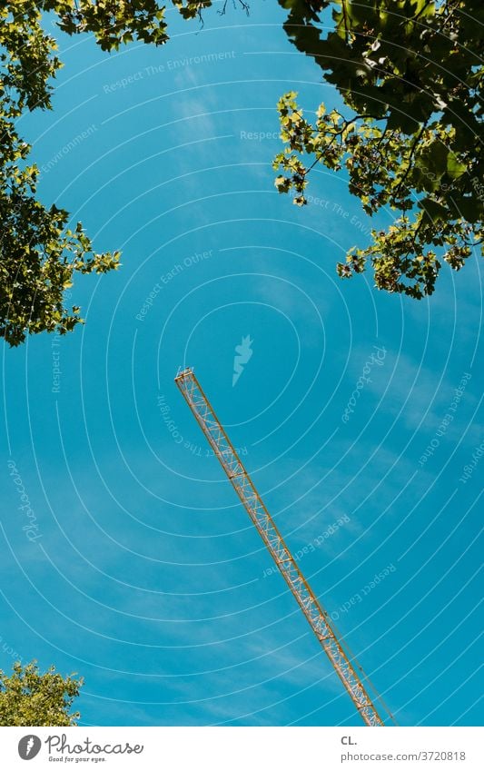 kran Kran Blätter Baustelle Baum Sommer blau grün groß gelb Schönes Wetter riesig hoch Blauer Himmel Wolkenloser Himmel Froschperspektive