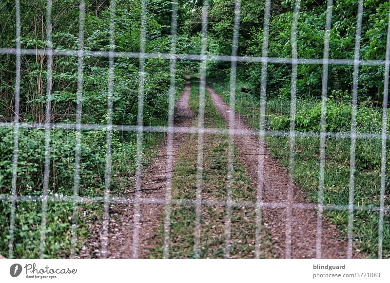 Fernweh ... durch einen unscharfen Bauzaun abgesperrter, scharfer Waldweg. Ende Gelände Waldboden Erholung Erholungsgebiet Flora Fauna Natur natürlich Bäume