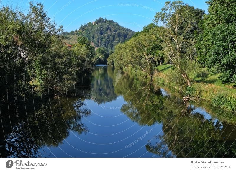 Blick auf den Neckar bei Sulz mit der Ruine Albeck im Hintergrund Fluss Wasser Gewässer Ufer Begrünung Büsche Bäumer Berg Sulz am Neckar Wald Flusslandschaft