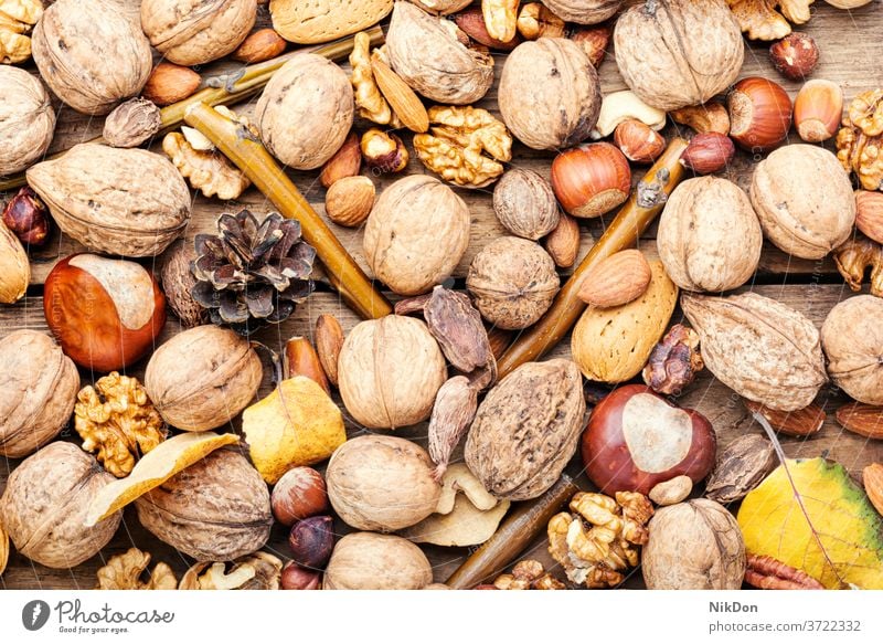 Nüsse aus nächster Nähe mischen Nut Mandel Haselnuss Pekannuss Cashewnuss Erdnuss Walnussholz Samen Kulisse Snack braun Frucht gemischt Vegetarier natürlich