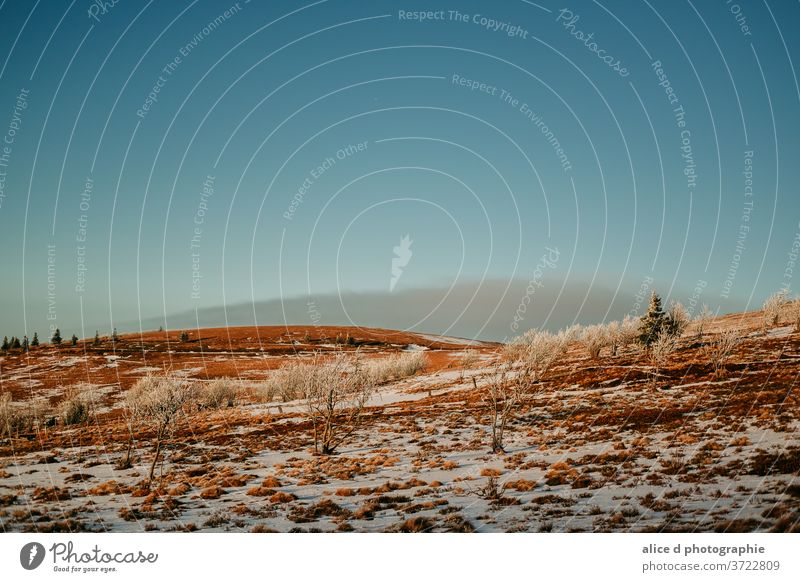 Sowy Vosges Gipfel unter strahlend blauem Himmel Schönheit in der Natur Wolke - Himmel kalte Temperatur dramatischer Himmel Umwelt berühmter Ort Frankreich Gras