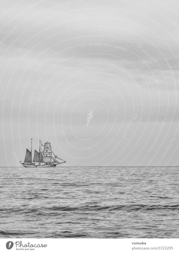 Segelschiff, Ostsee, Himmel Meer Wasser Freiheit Natur Segeln Horizont Fernweh Einsamkeit Sommer Außenaufnahme Tag Landschaft Ferne friedlich... Erholung Schiff