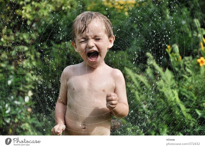 Aaa Spielen Kinderspiel Garten maskulin Junge Körper Brust 2 Mensch 3-8 Jahre Kindheit Natur Landschaft Wasser Wassertropfen Sommer Schönes Wetter Pflanze Baum