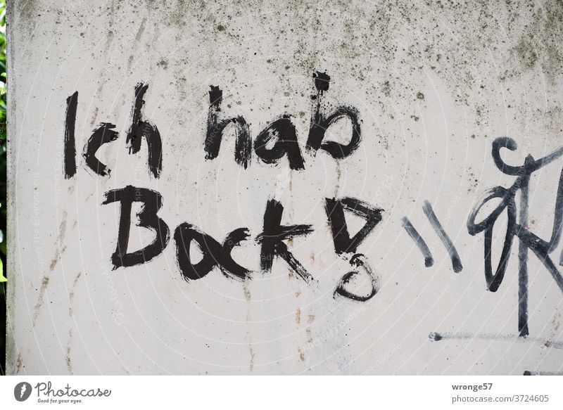 Ich hab Bock, mit schwarzer Farbe auf eine schmutzige Wand gesprüht haben schwarze Farbe Mauer gesprayt Graffito Graffiti Menschenleer Außenaufnahme Farbfoto