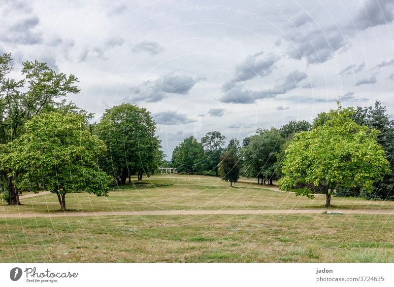 gartendenkmal. Wiese Trockenheit Bäume Natur Umwelt Landschaft Farbfoto Außenaufnahme Menschenleer Sommer grün Gras Tag Pflanze Schönes Wetter Himmel Wolken